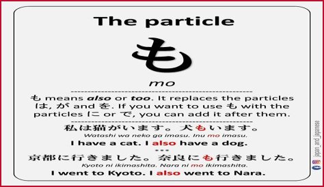 Discover The Meaning Of 